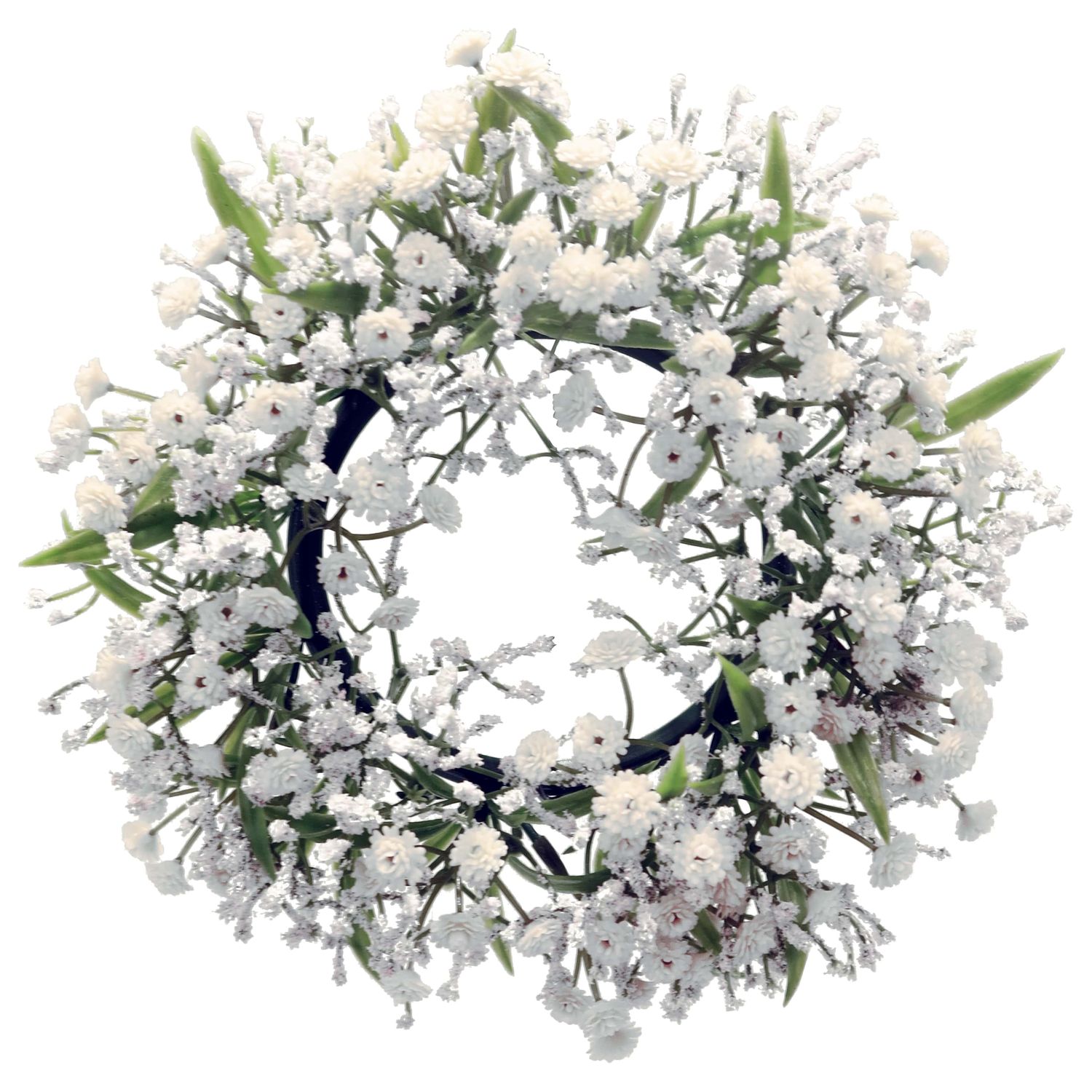 Gypsophila Muralis - wreath white - 12 cm