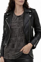 F-Svan-A-Grau--5-.jpg F-Svan-A-Grau--5-.jpg