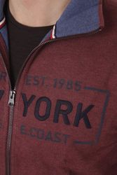 81Fpx1mDsjL.jpg 81Fpx1mDsjL.jpg