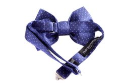 81opIs9orGL.jpg 81opIs9orGL.jpg