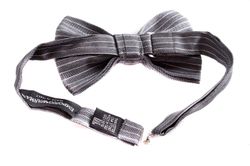 81tqfiLgB5L.jpg 81tqfiLgB5L.jpg