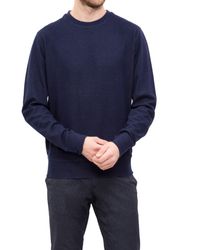 Alan-Top--1-.jpg Alan-Top--1-.jpg