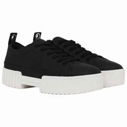 51FEkYX6dQL.jpg 51FEkYX6dQL.jpg