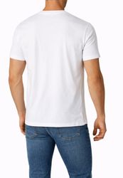 T-Flavia--3-.jpg T-Flavia--3-.jpg