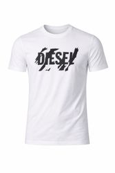 T-Flavia--4-.jpg T-Flavia--4-.jpg