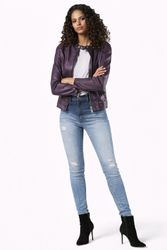 L-Lory--4-.jpg L-Lory--4-.jpg