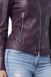 L-Lory--5-.jpg L-Lory--5-.jpg