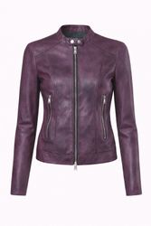 L-Lory--6-.jpg L-Lory--6-.jpg