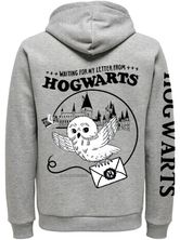 Harry Potter Waiting for Letter Zip-Hooded Sweater female grau meliert