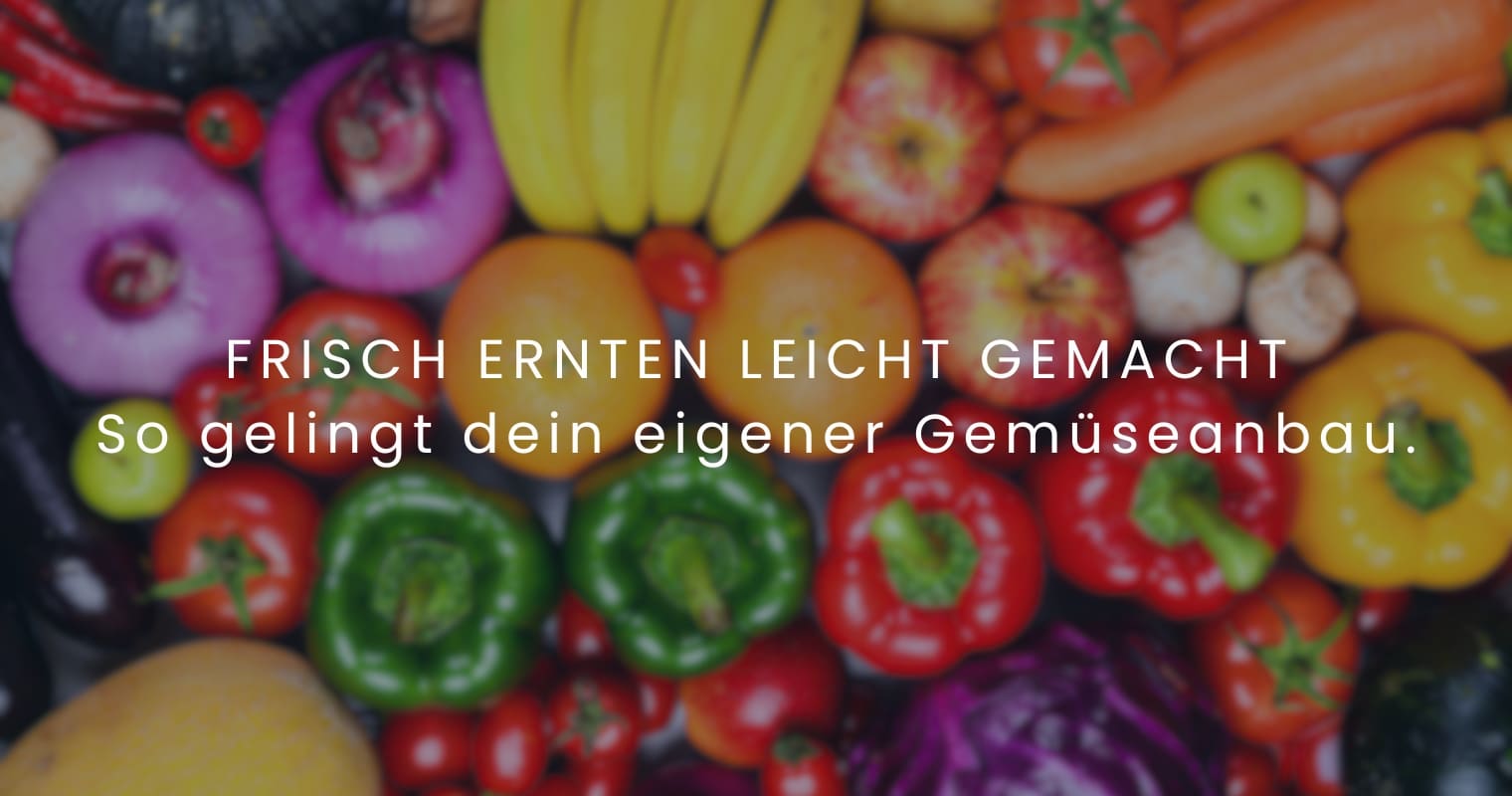 Gemüse selber anbauen: so einfach geht’s