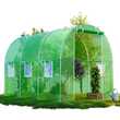 GARMIO® Foliengewächshaus CICATA 3x2x2m