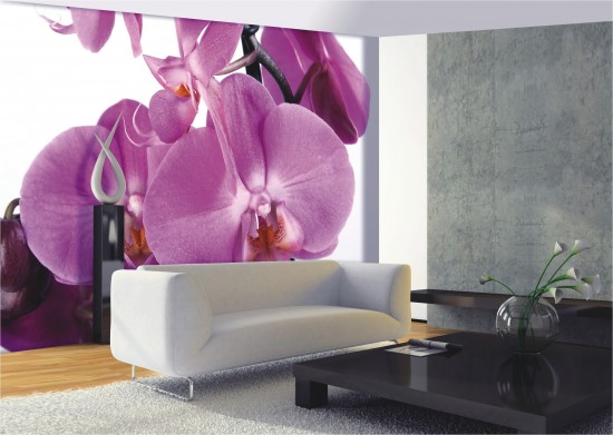 Wall mural wallpaper great orchid flower blossom photo 360 cm x 254 cm / 3.94 yd x 2.78 yd