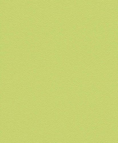 Non-Woven Wallpaper Plain Structured green Rasch 469035