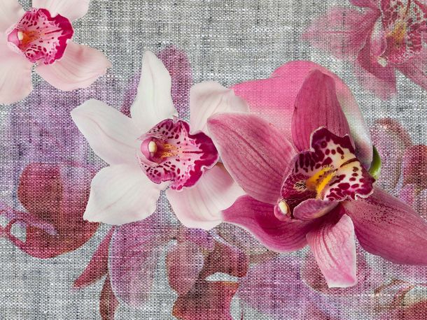 Wall mural wallpaper orchid flowers blossom 360 cm x 270 cm