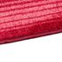 Detail Runner Rug Carpet Hallway Mat Hall Runner Capitol stripes red 67cm Width 3