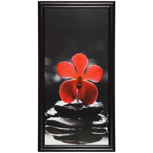 Canvas print wellness flower stones black red 23x49cm