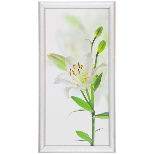 Canvas print picture wellness flower white green 23x49cm
