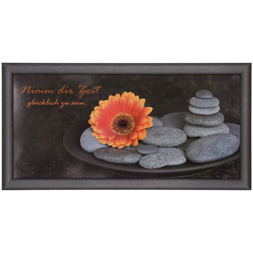 Kunstdruck Bild Gerahmt 23x49 Blute Steine Grau Orange