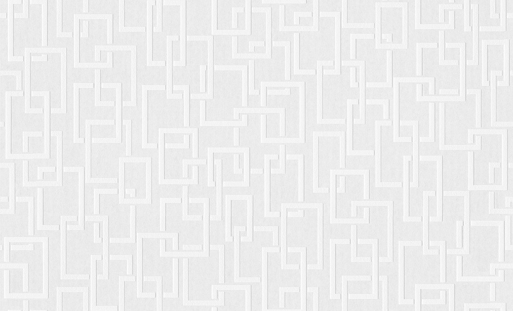 Wallpaper paintable design white 950017 Meistervlies PRO