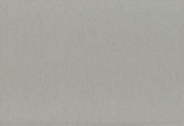Article picture Wallpaper Rasch Textil Affair textured grey metallic 222110