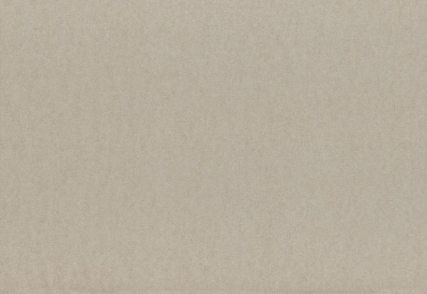 Wallpaper beige uni Rasch Textil 222189