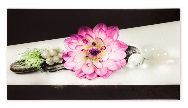 Picture Canvas flower black purple 50x100cm