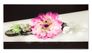 Picture Canvas flower black purple 50x100cm 1