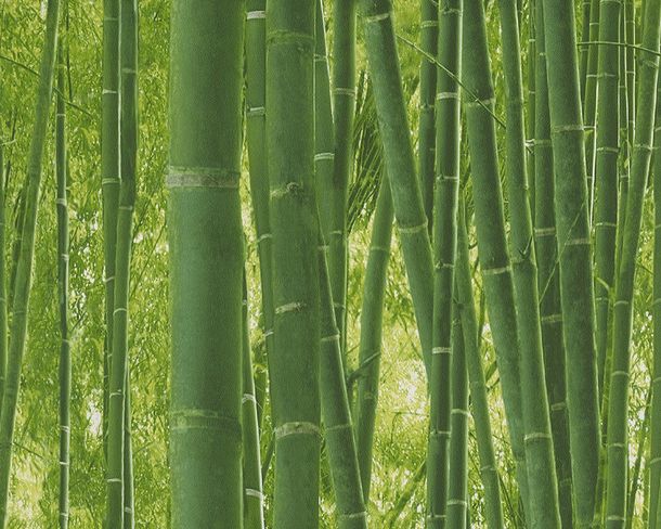 Wallpaper AS Creation Authentic Walls bamboo green 9387-18