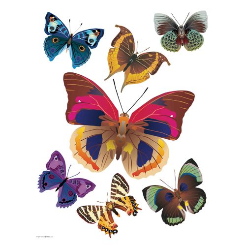 Wall Sticker Decoration Butterfly Animal 65x85cm