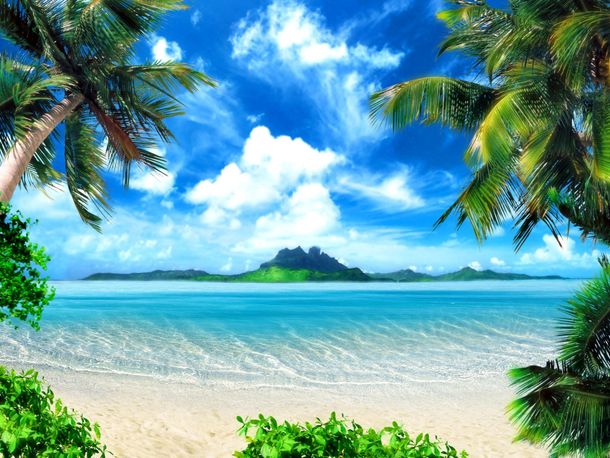 Photo wallpaper sea beach palms island nature | paper non woven Des-12