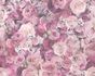 Wallpaper roses flower gloss purple AS Creation 32722-4 1