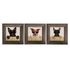 Set of 3 Framed Pictures Dogs Cool Sunglasses 23x23cm 1