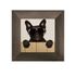 Set of 3 Framed Pictures Dogs Cool Sunglasses 23x23cm 2