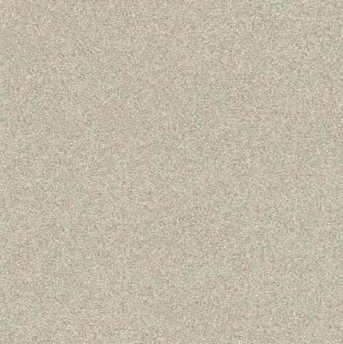 Wallpaper Rasch Passepartout granules beige grey 606645