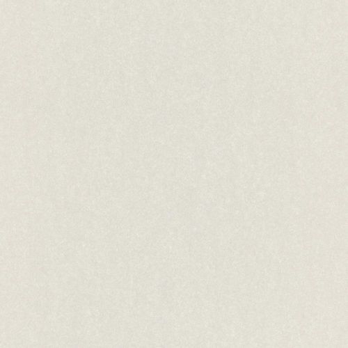 Wallpaper Rasch Emilia plain design silver white Metallic 501117