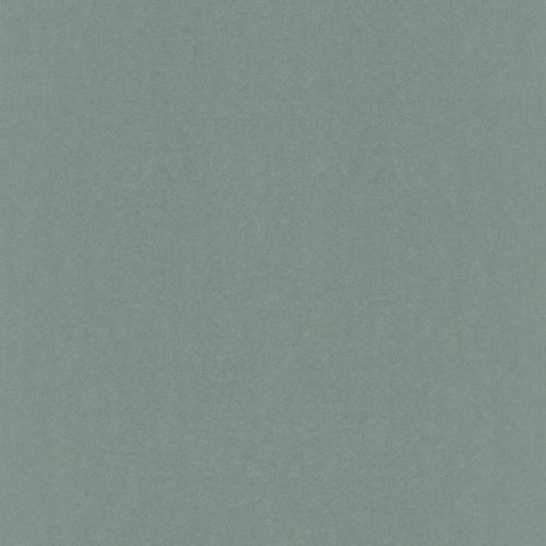 Wallpaper Rasch Emilia plain design green Metallic 501209