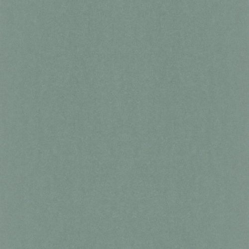 Wallpaper Rasch Emilia plain design green Metallic 501209