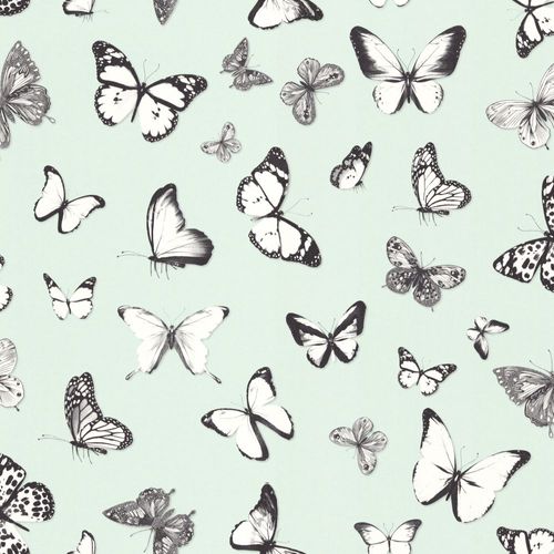 Wallpaper butterflies turquoise black 138876