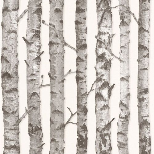 Wallpaper World Wide Walls tree bole white grey 138889