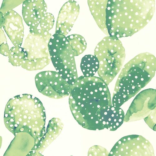 Wallpaper World Wide Walls cactus white green 138902