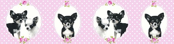 Kids Wallpaper Border Chihuahua dogs rose black 35850-2