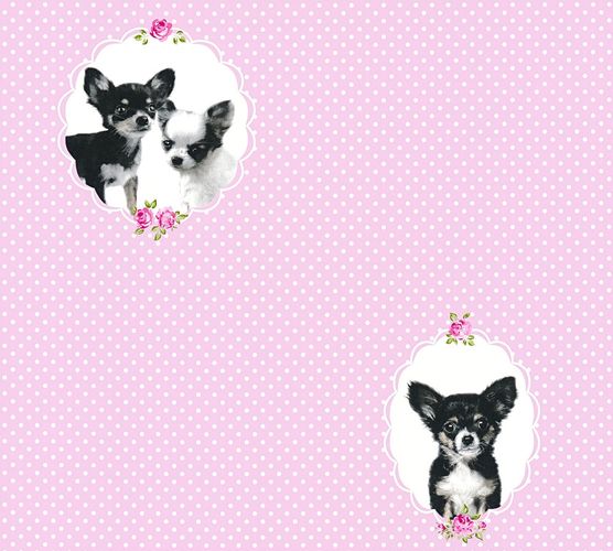 Kids Wallpaper Chihuahua dogs rose white 35851-1