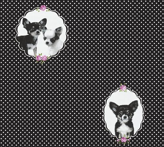 Kids Wallpaper Chihuahua dogs black white 35851-2