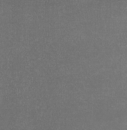 Product view Deluxe by Guido Maria Kretschmer Wallpaper plain textured silver 41000-20