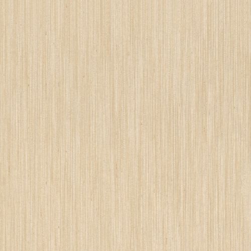 Textile wallpaper Rasch Textil Sky Non-woven mottled taupe beige 082325