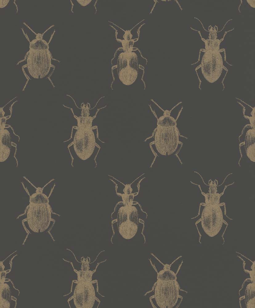 Bug Wallpaper (47+ images)