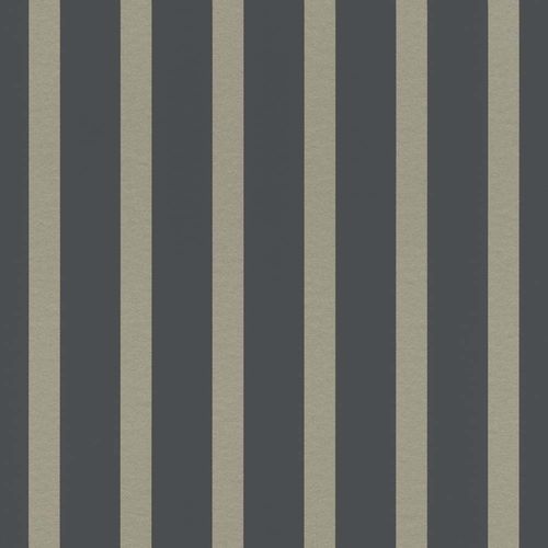 Image Wallpaper Stripes black silver Glossy Rasch Textil 289731