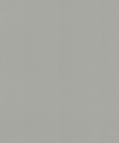 Article picture Non-woven wallpaper Rasch structure dark grey Indian Summer 474947