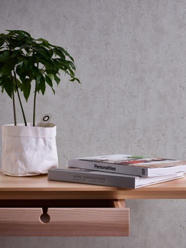 Non-Woven Wallpaper Concrete Used grey 36600-4