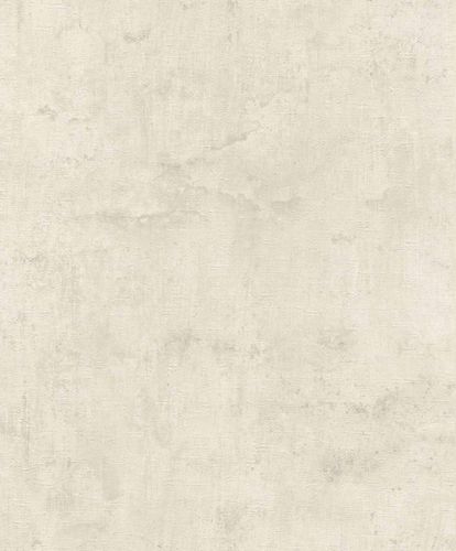 Wallpaper Rasch concrete wall grey 407358